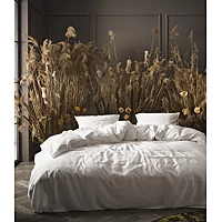 Essenza Katoensatijnen Dekbedovertrek 2 Persoons 401244-100NL-026 Satijn Wit 8715944644532